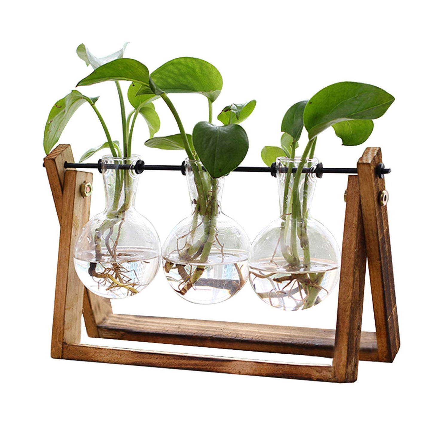 XXXFLOWER Plant Terrarium with Wooden Stand,