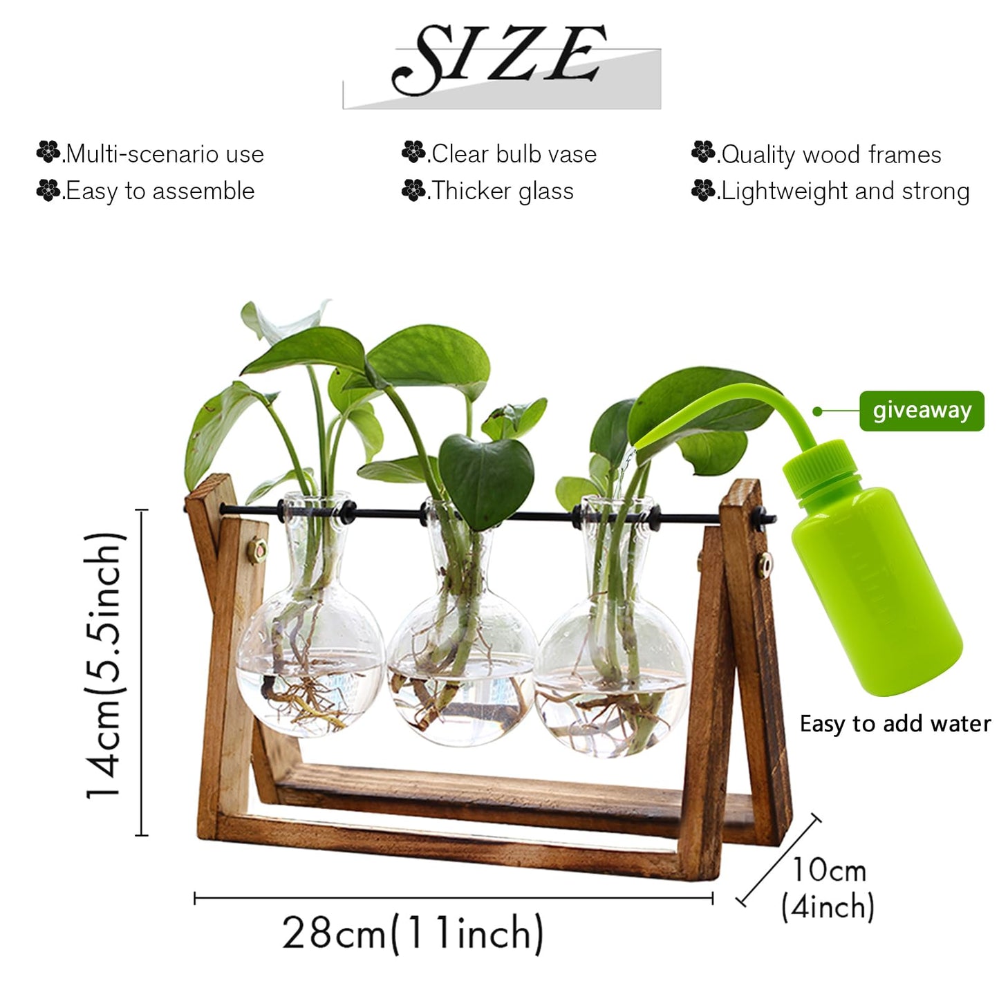 XXXFLOWER Plant Terrarium with Wooden Stand,