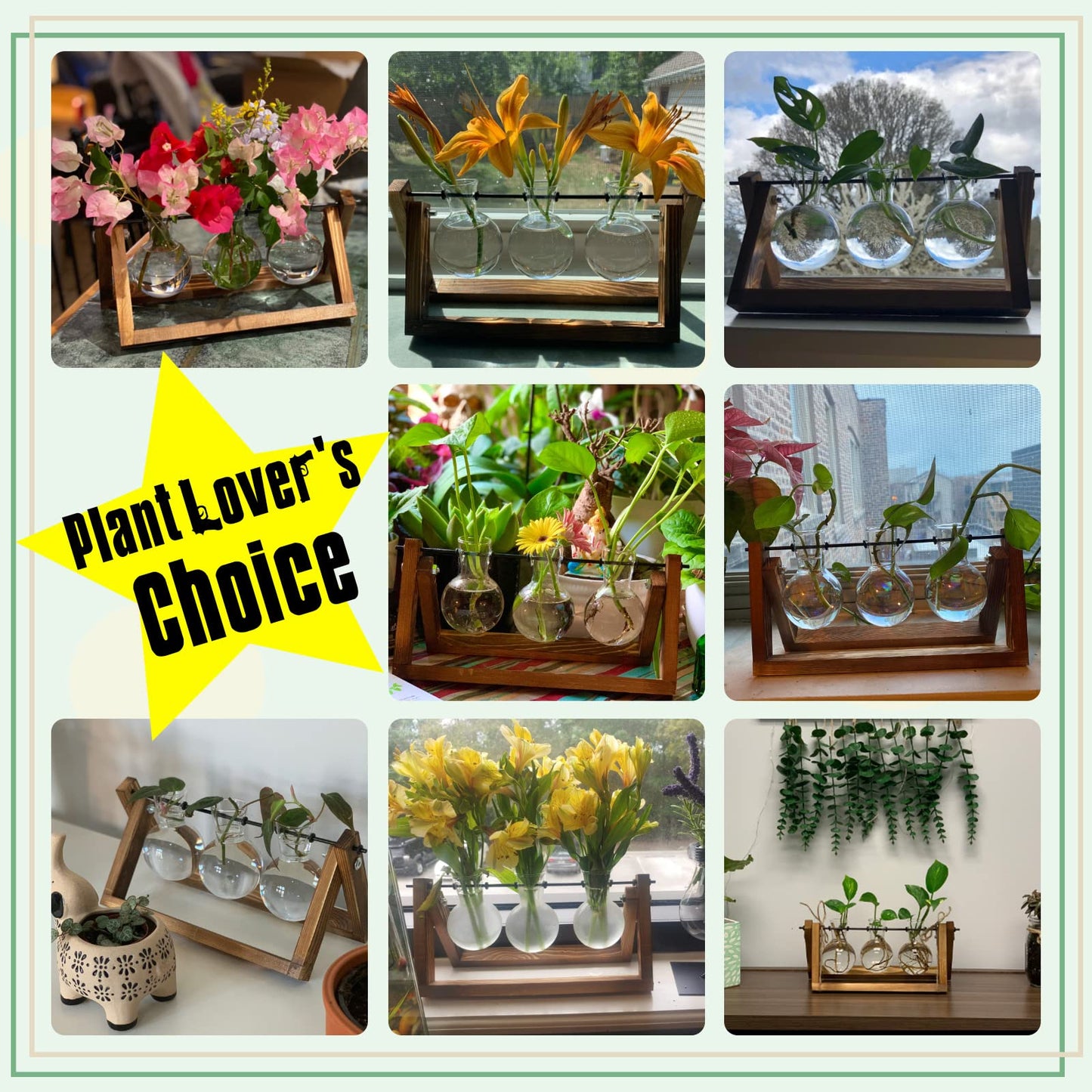 XXXFLOWER Plant Terrarium with Wooden Stand,