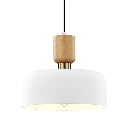 TeHenoo Modern Pendant Lighting