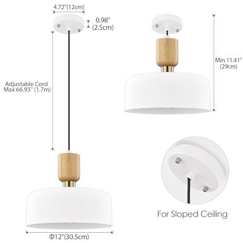 TeHenoo Modern Pendant Lighting