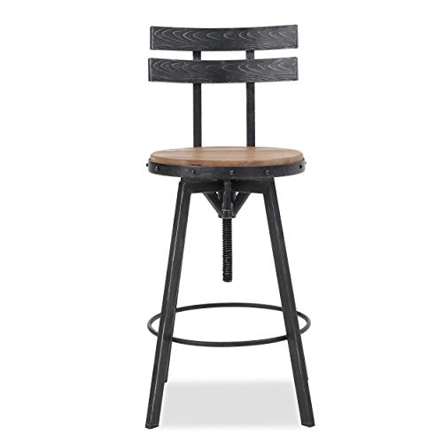 Christopher Knight Home Alanis Firwood Barstool