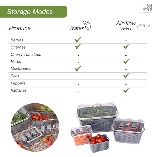 Fruit Storage Containers