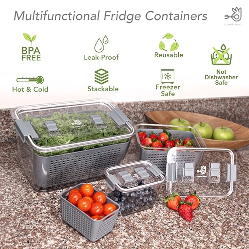 Fruit Storage Containers