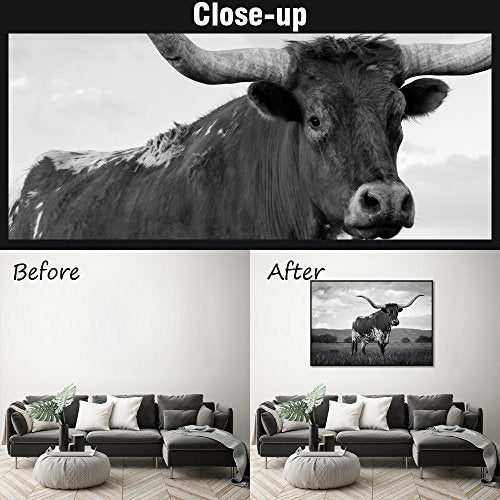 Animal Canvas Wall Art